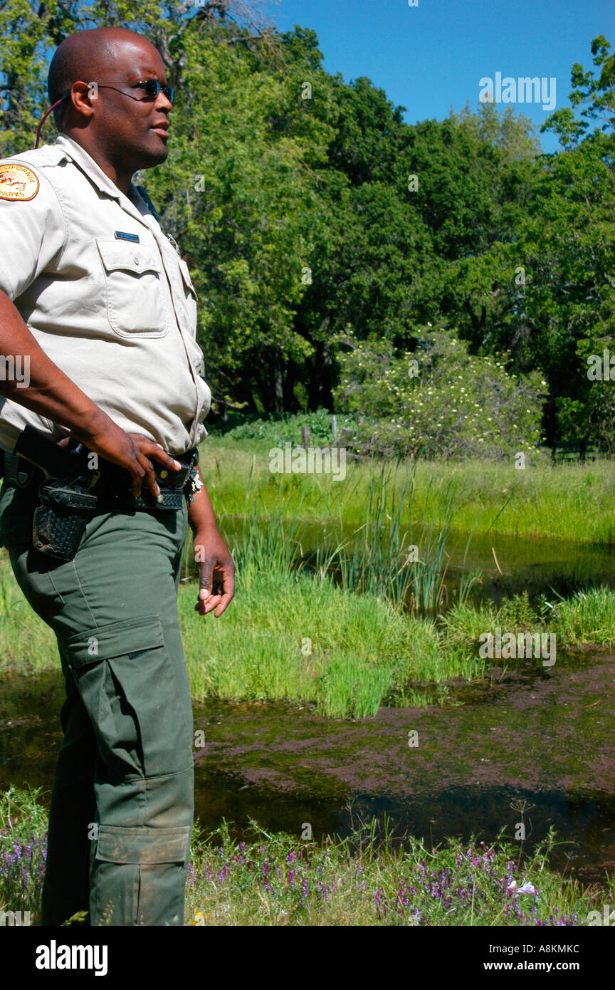 California Park Ranger in Henry Coe State Park Northern California USA ...