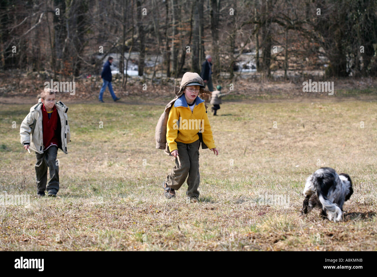Family with kids and dogs walking and playing outdoors in natural park with trees and creek in Switzerland on early spring weekend Stock Photo