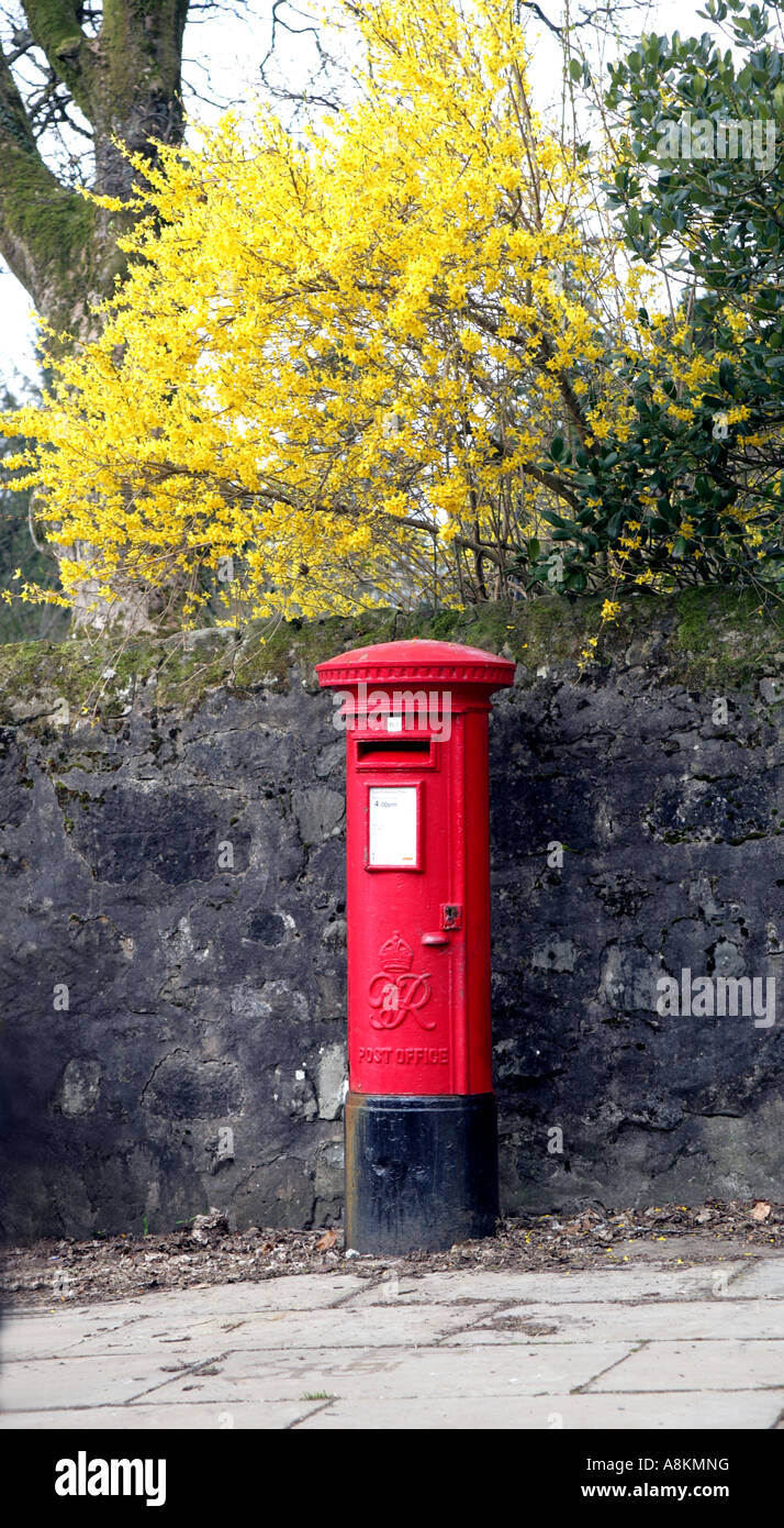 Old Style Red GPO Pillarbox in the Springtime,Countryside of Scotland.UK. Stock Photo