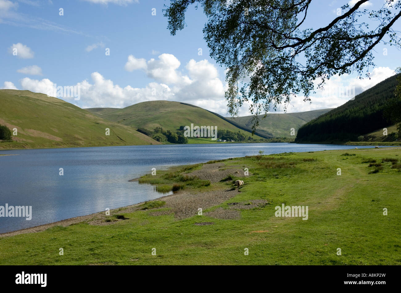 Loch of the Lowes, Scottish Borders -1 Stock Photo