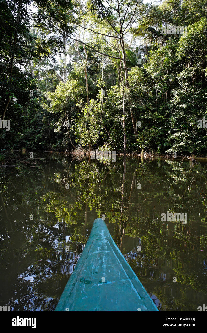 Canoe tour on pond in rainforest, Laguna del Lagarto Lodge near Boca Tapada, Costa Rica Stock Photo