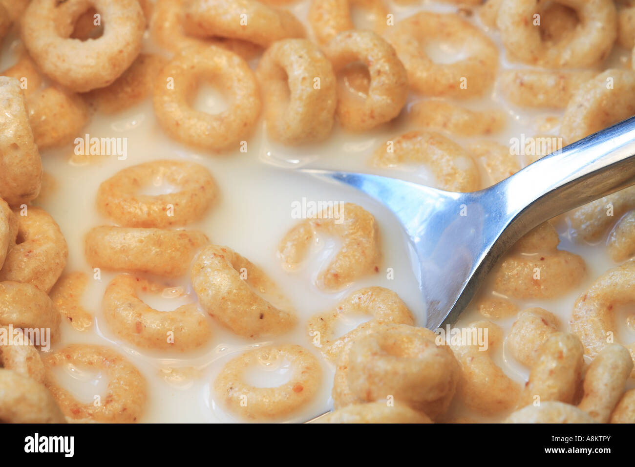 Breakfast cereal bowl with milk and spoon Stock Photo Alamy