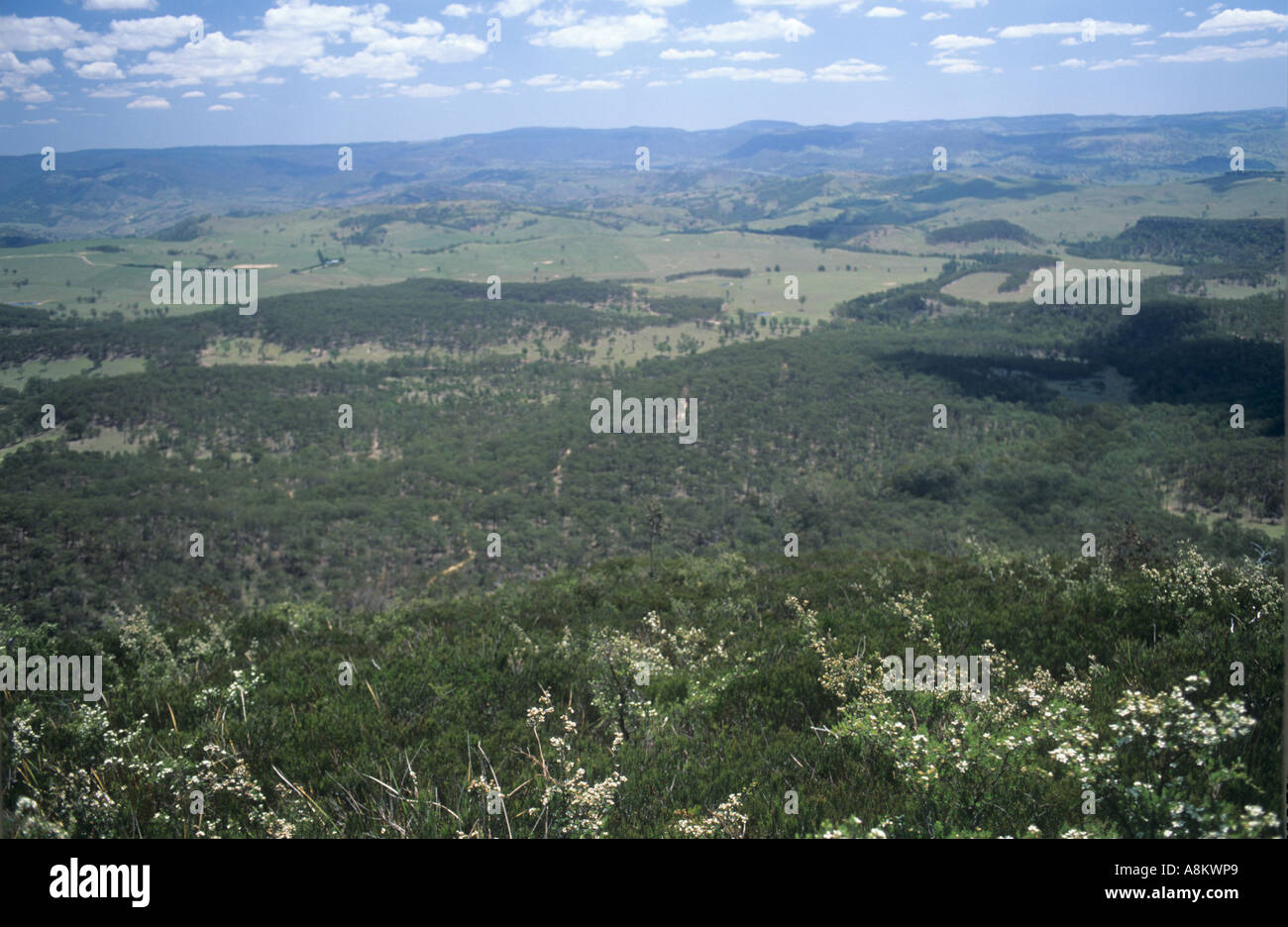 View of the Great Dividing Range, eastern NSW, Australia Stock Photo