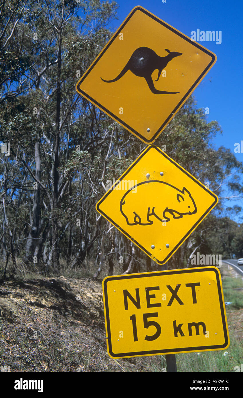 Signs warning of wildlife crossing the road,  eastern Australia Stock Photo