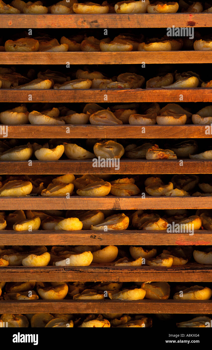 Drying pears, Angas Park Fruit Processing Plant, Loxton,    South Australia Stock Photo