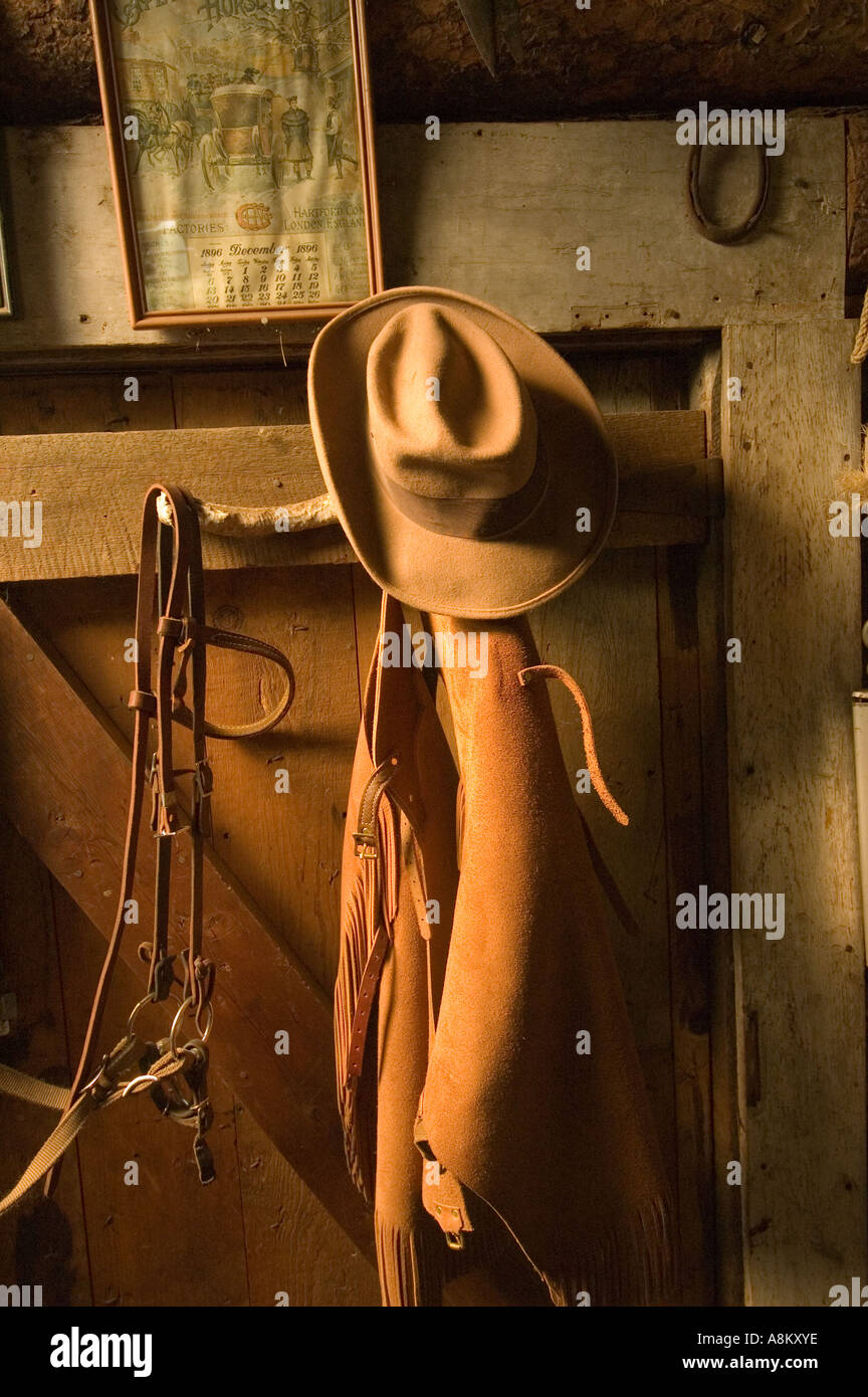 Cowboy Gear stock photo. Image of leather, riding, work - 635932