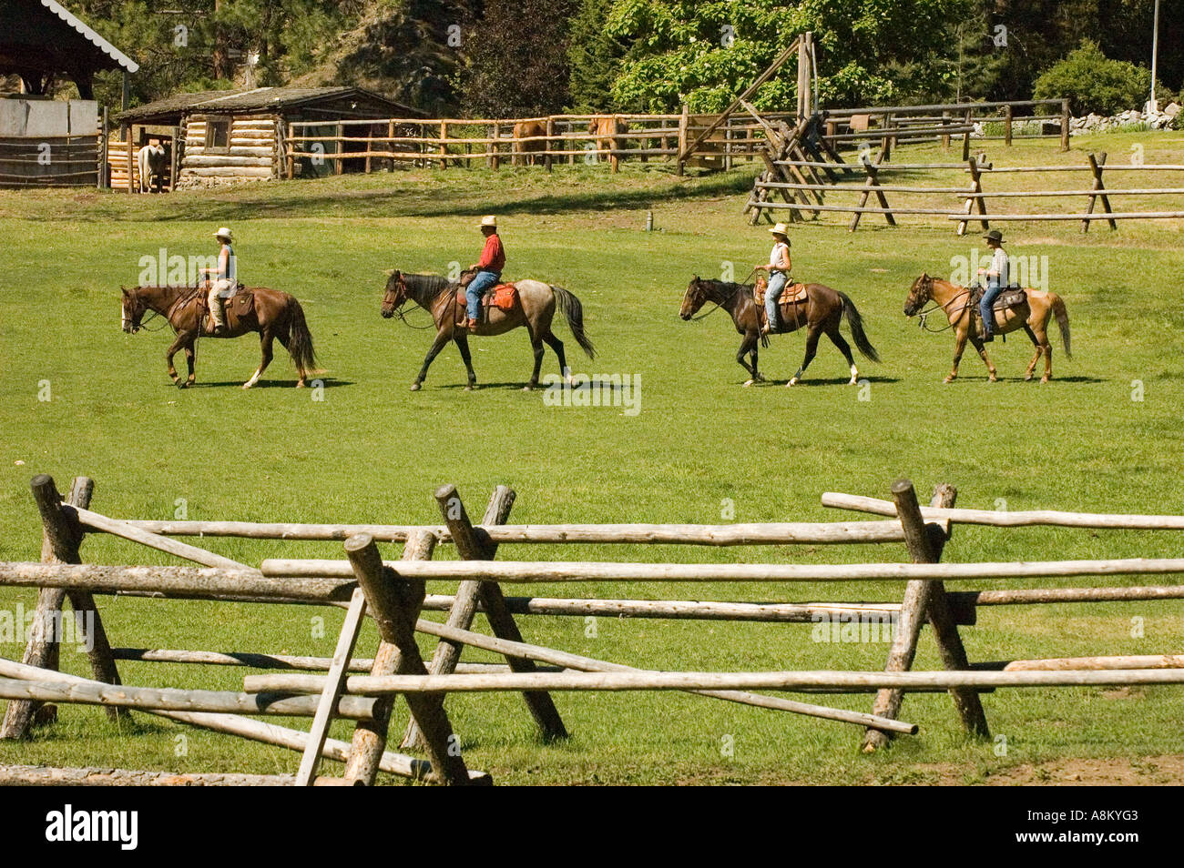 IDAHO INDIAN CREEK RANCH Guests horseback riding near the Main Salmon River and Shoupe ID MR Stock Photo
