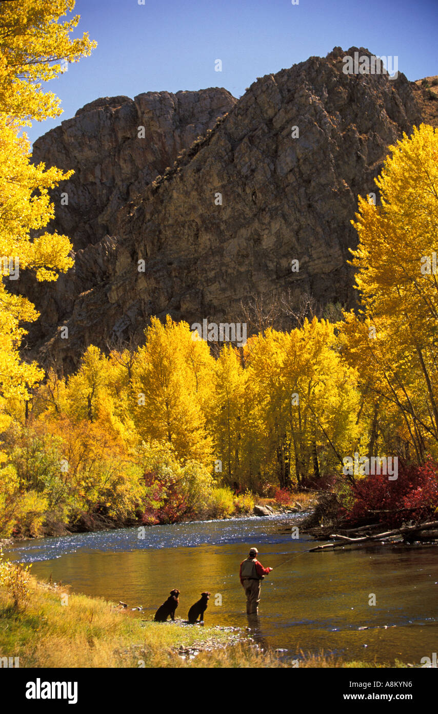 IDAHO BIG LOST RIVER Fly Fisherman with Labrador Dogs by his side trout