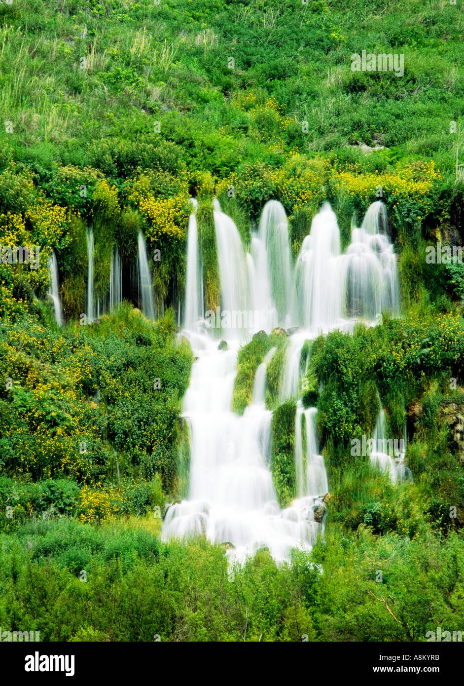 USA IDAHO NIAGARA SPRINGS STATE PARK Thousand springs cascading from waterfalls Hagerman Valley Stock Photo