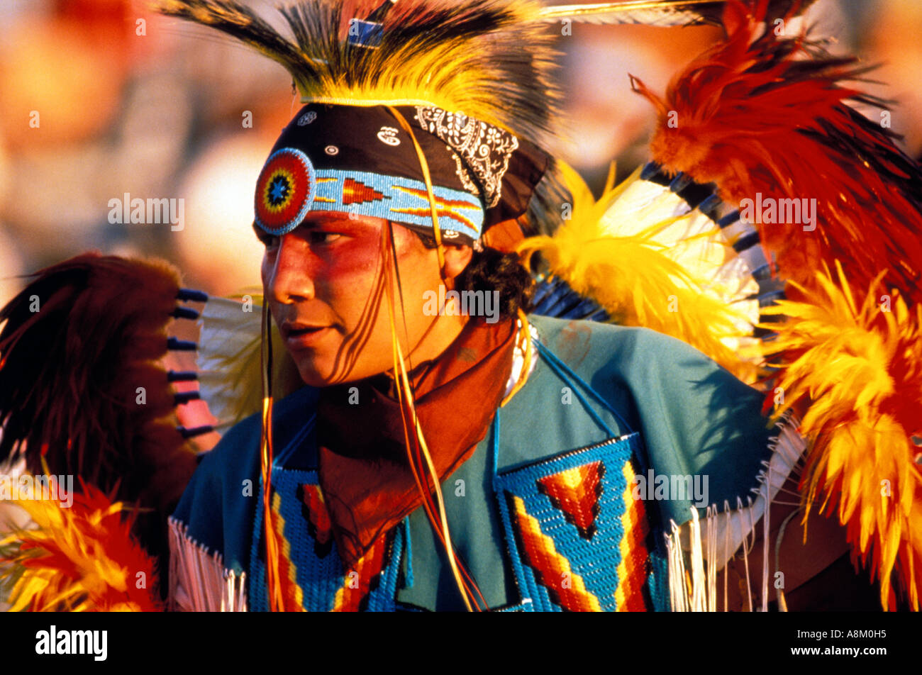 USA IDAHO NATIVE AMERICAN Indian man in colorful tribal dress dancing ...