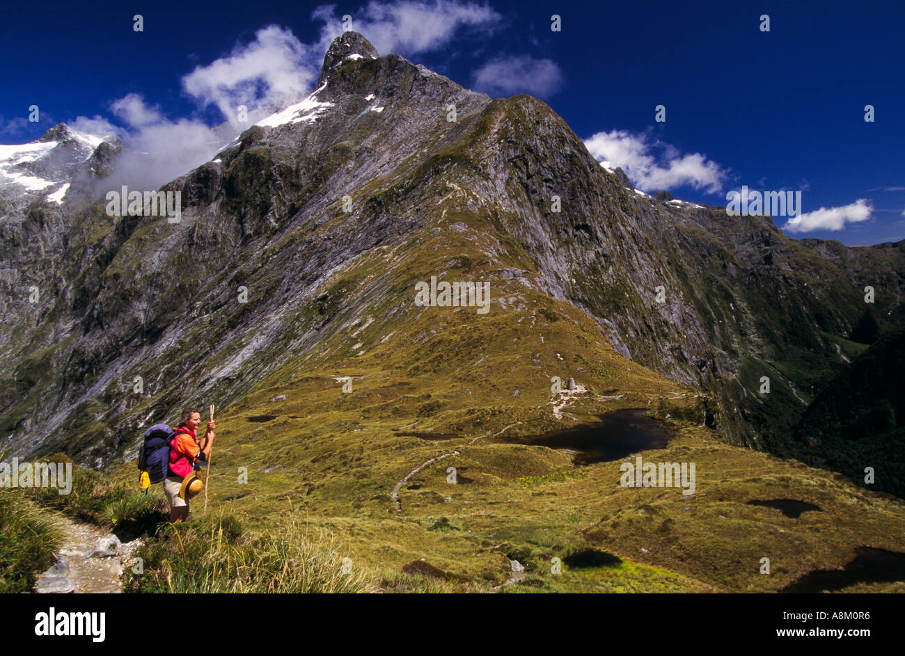 Milford Track descent from Mackinnon Pass Fiordland National Park Milford Sound South Island New Zealand horizontal Stock Photo
