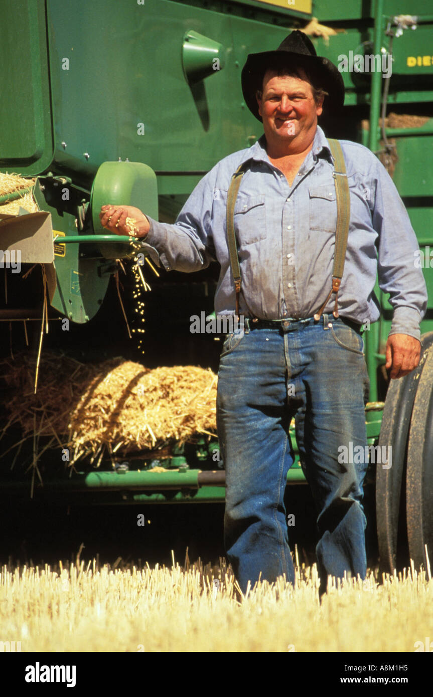 USA IDAHO AGRICULTURE Happy farmer harvesting wheat in the fall Eastern, Id  MR Stock Photo - Alamy