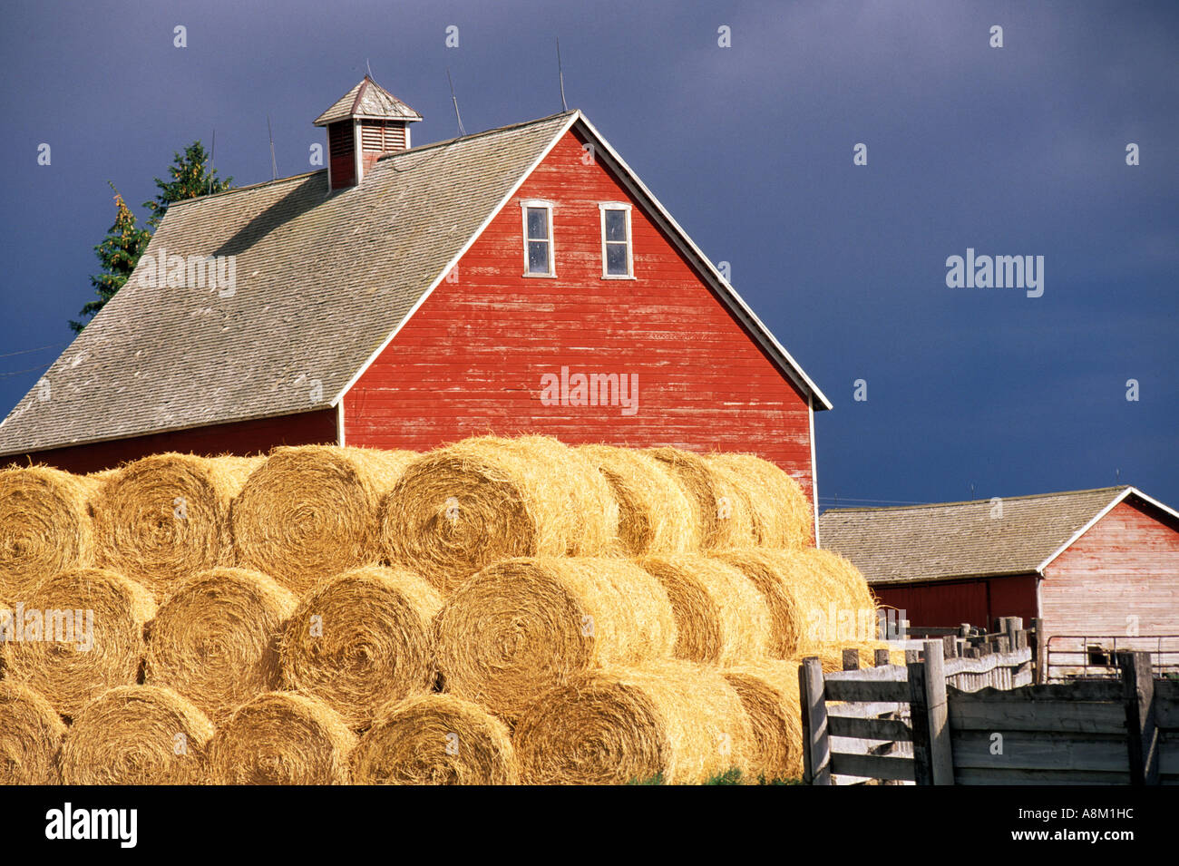 USA IDAHO AGRICULTURE Stacks of bailed hay and red barn against dark skies Stock Photo