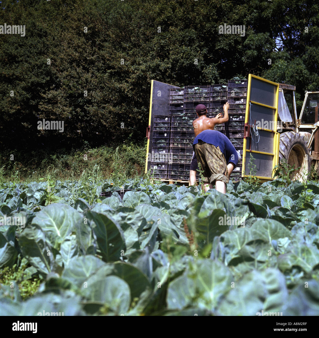 Farm labourer england hires stock photography and images Alamy
