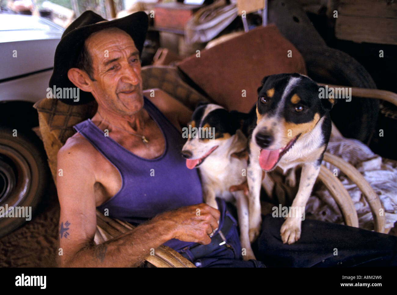 Man and his dogs, outback Australia Stock Photo