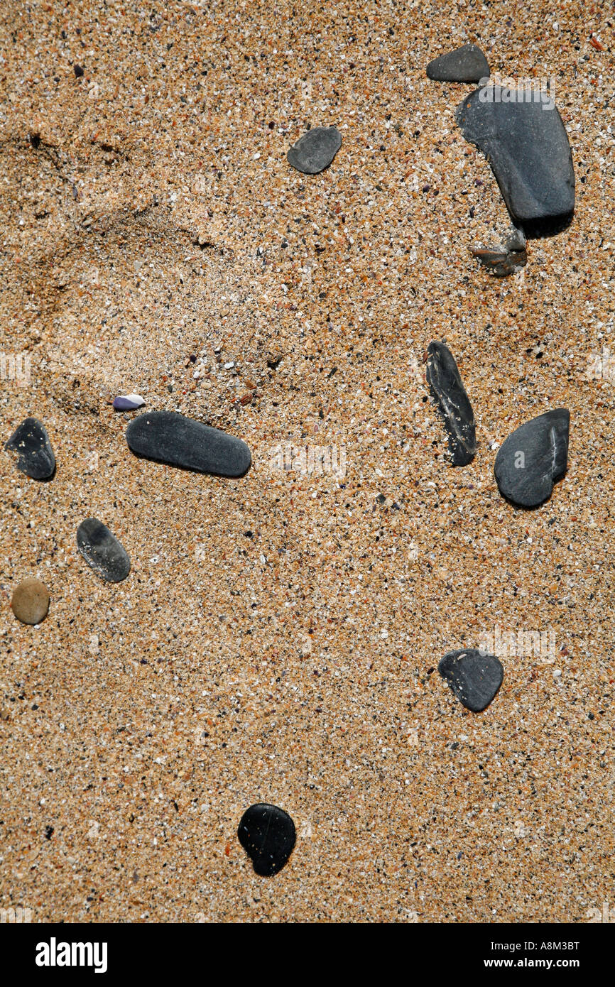 Pebbles on The Beach Constantine Bay Cornwall England UK Europe Stock Photo