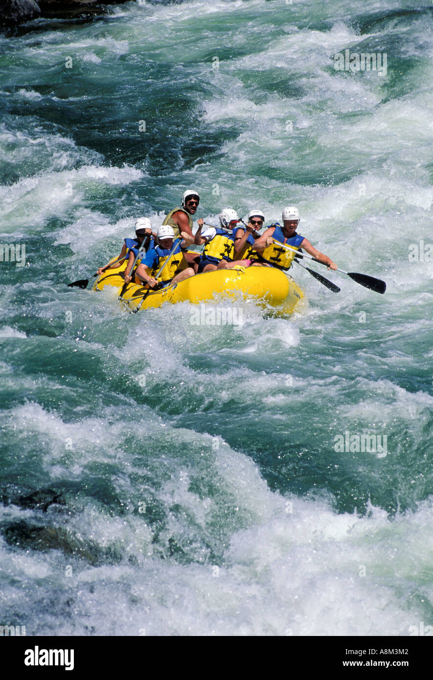 USA IDAHO People Whitewater rafting in the Selway River Bitterroot