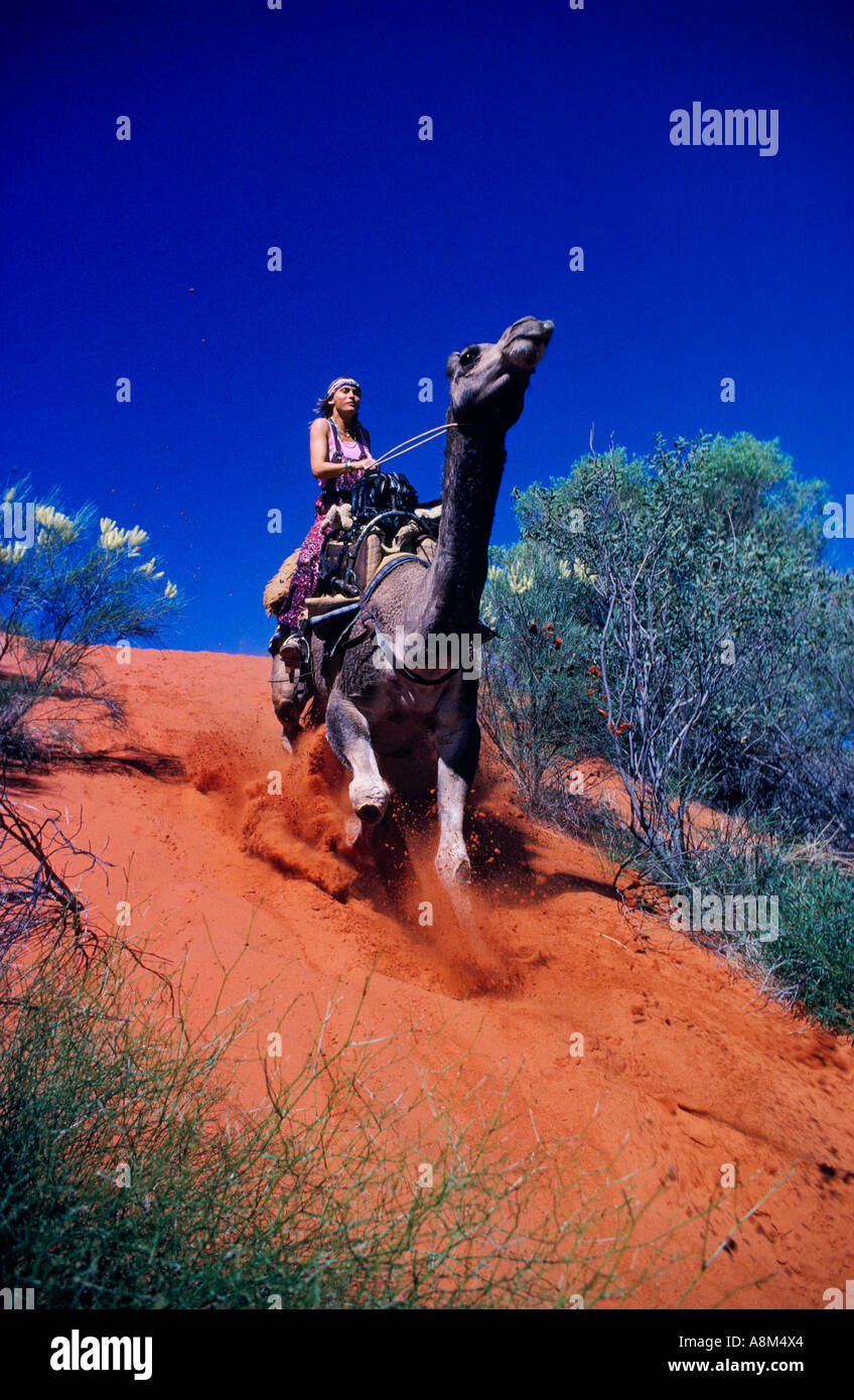 Camel Safari Australia High Resolution Stock Photography and Images - Alamy