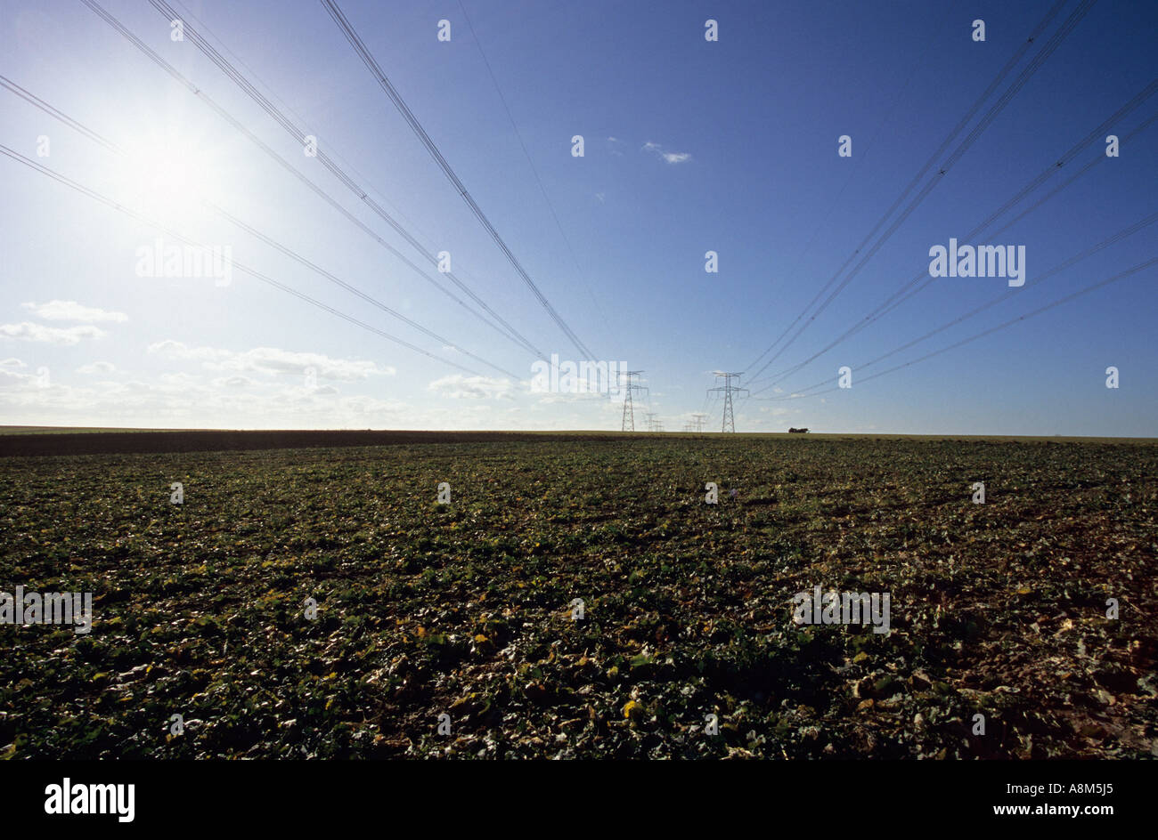 High voltage electricity tower in France Stock Photo Alamy