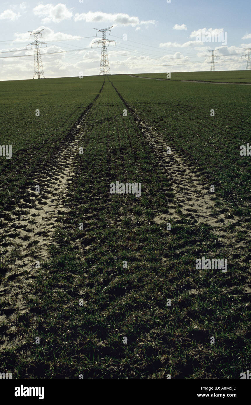 High voltage electricity tower in a field in France Stock Photo Alamy
