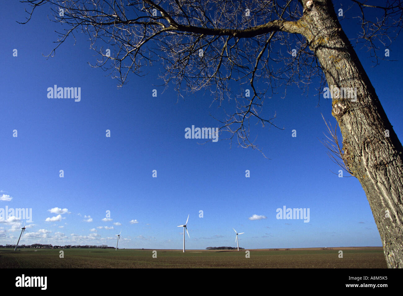 Windmills in a field in France Stock Photo Alamy