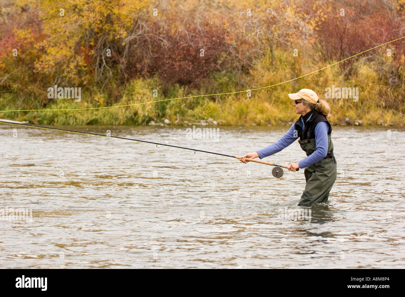 Spey casting hi-res stock photography and images - Alamy