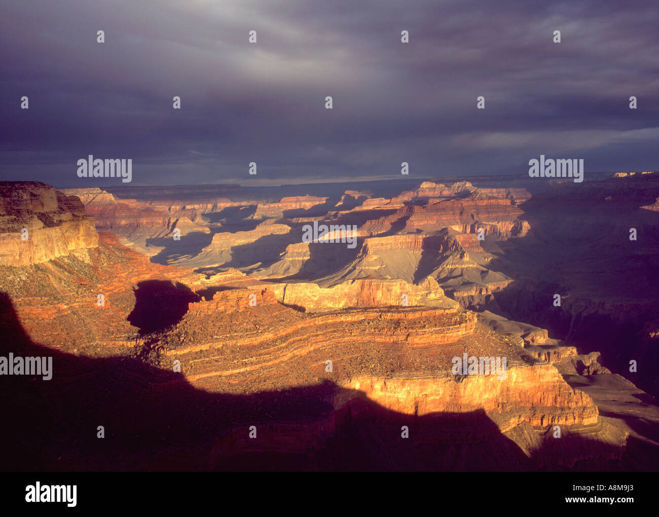 The Grand Canyon seen at sunrise from Yavapai viewpoint on the South