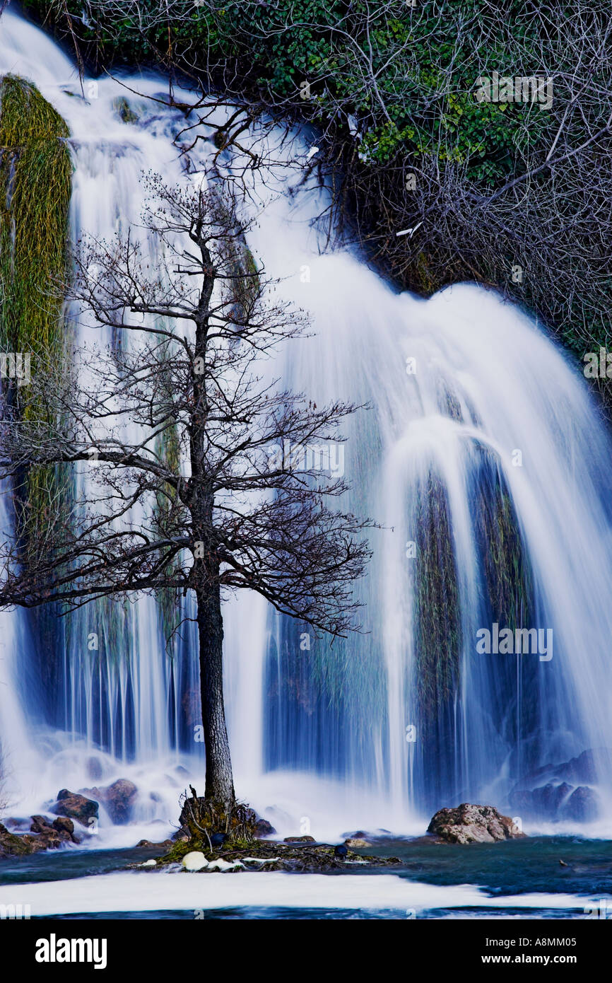 Winter Scene Of Tree On Flooded River Bank With Beautiful Flowing Stock Photo Alamy