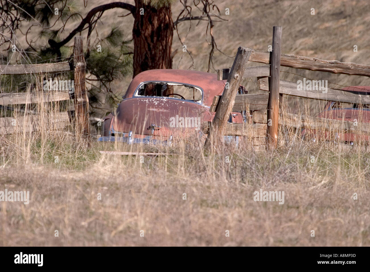 Abandonded car with rear window broken out Stock Photo Alamy
