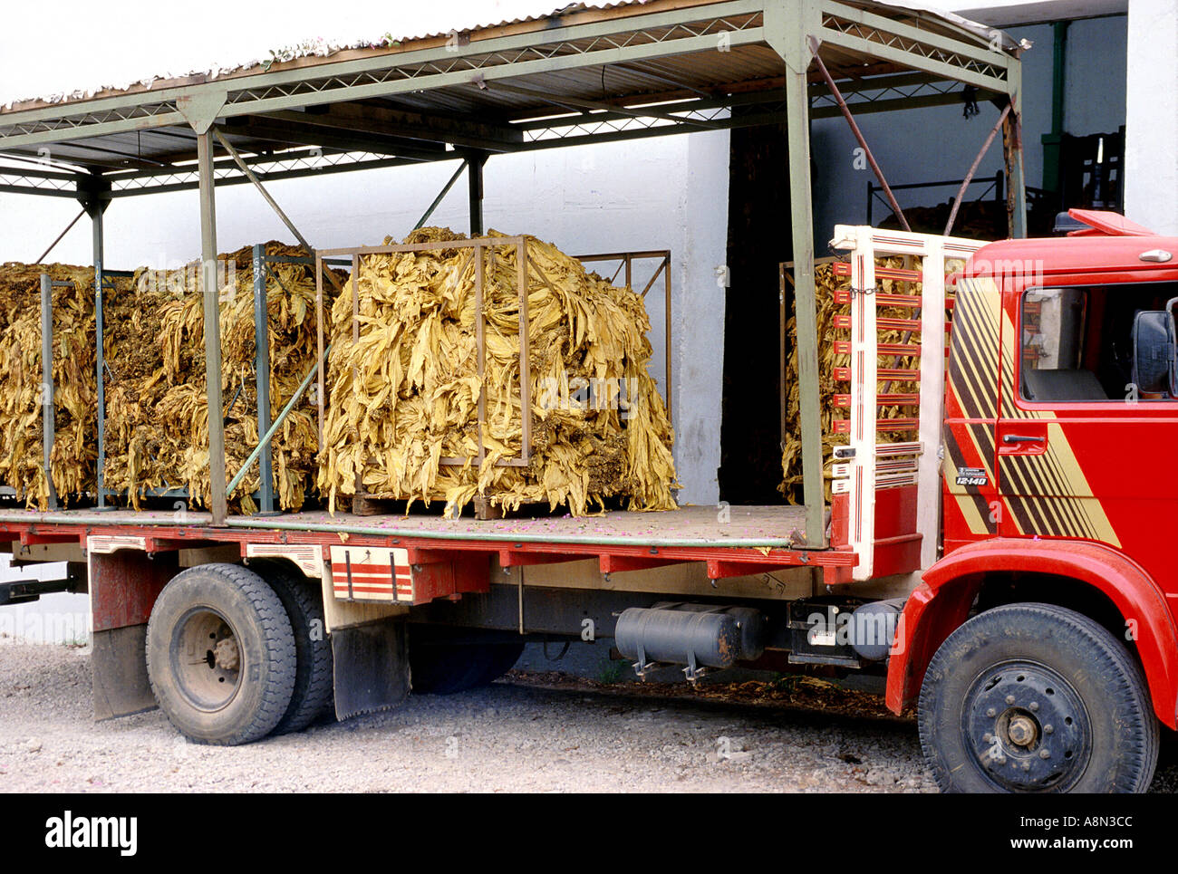 Truck loaded with tobacco leaves Stock Photo