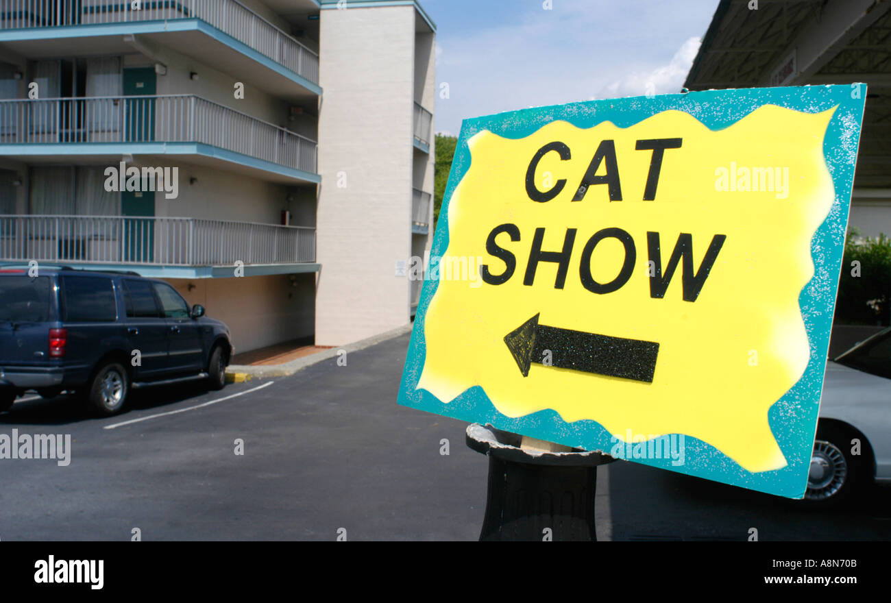 Directions via sign to a cat show being help in a southern Florida