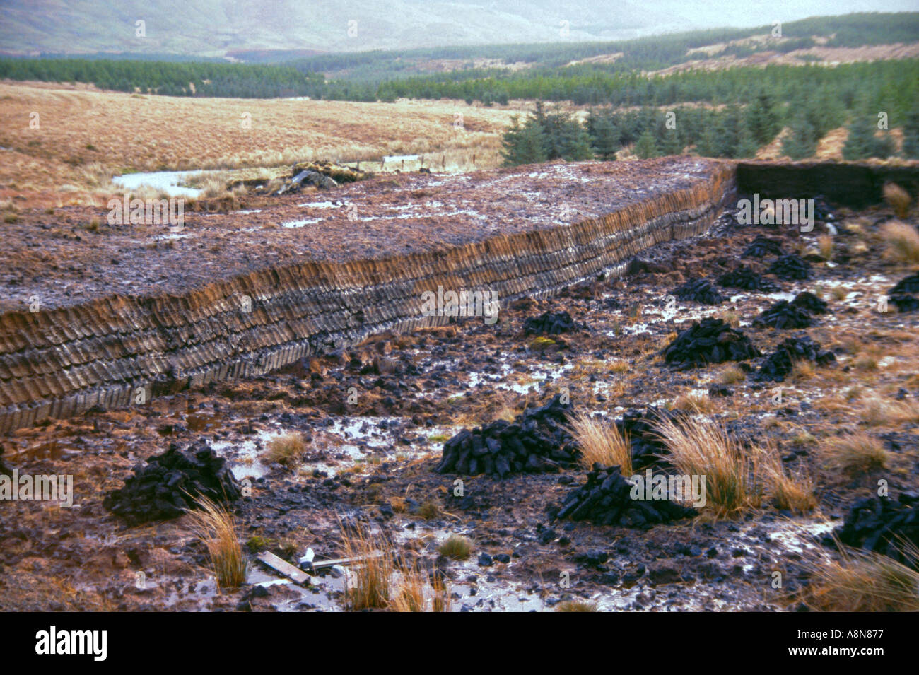 Turf cutting in Connemara Co Galway Ireland Stock Photo