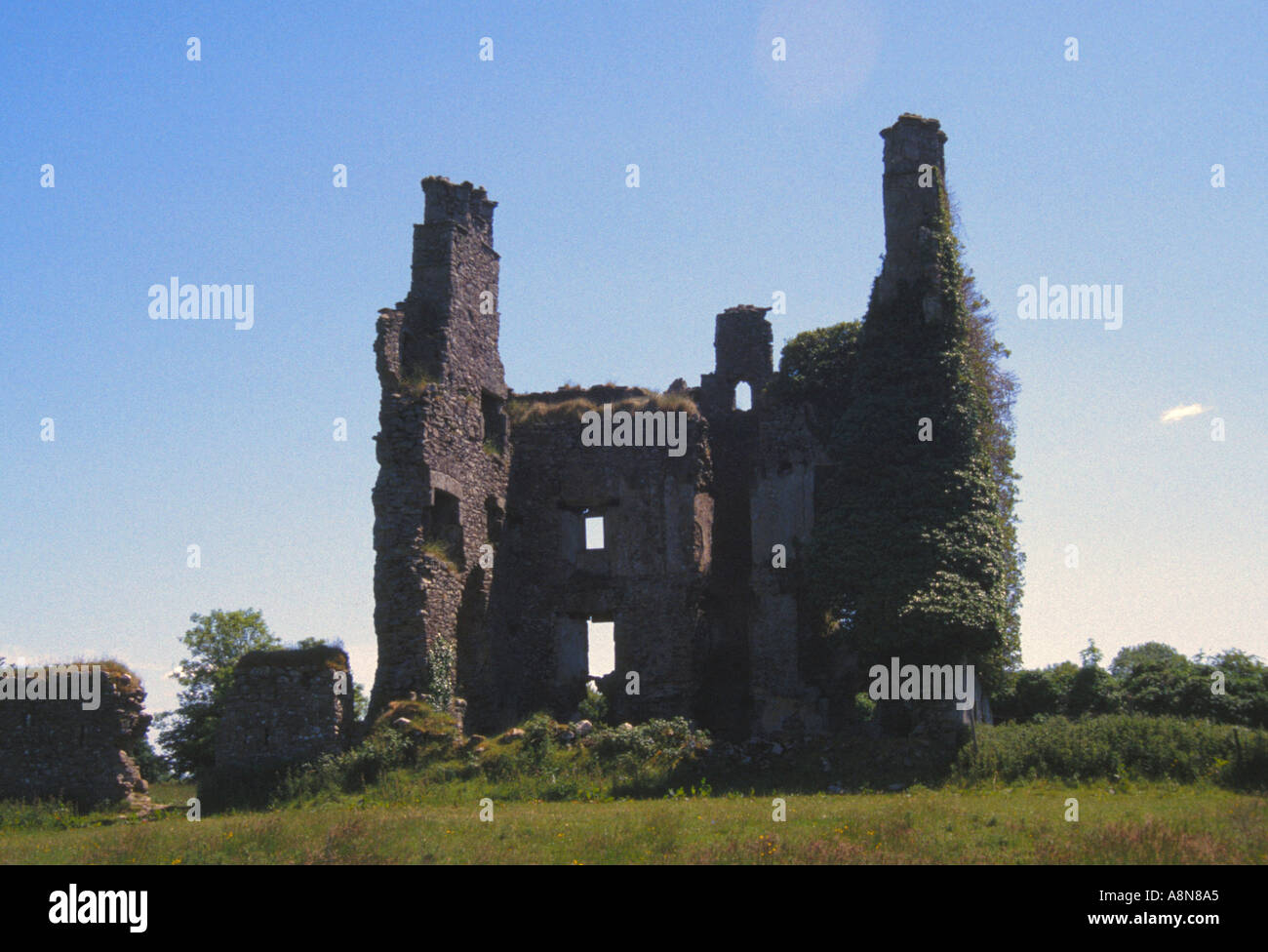 Ruins of Cloncourse Castle in Co Laois Ireland Stock Photo
