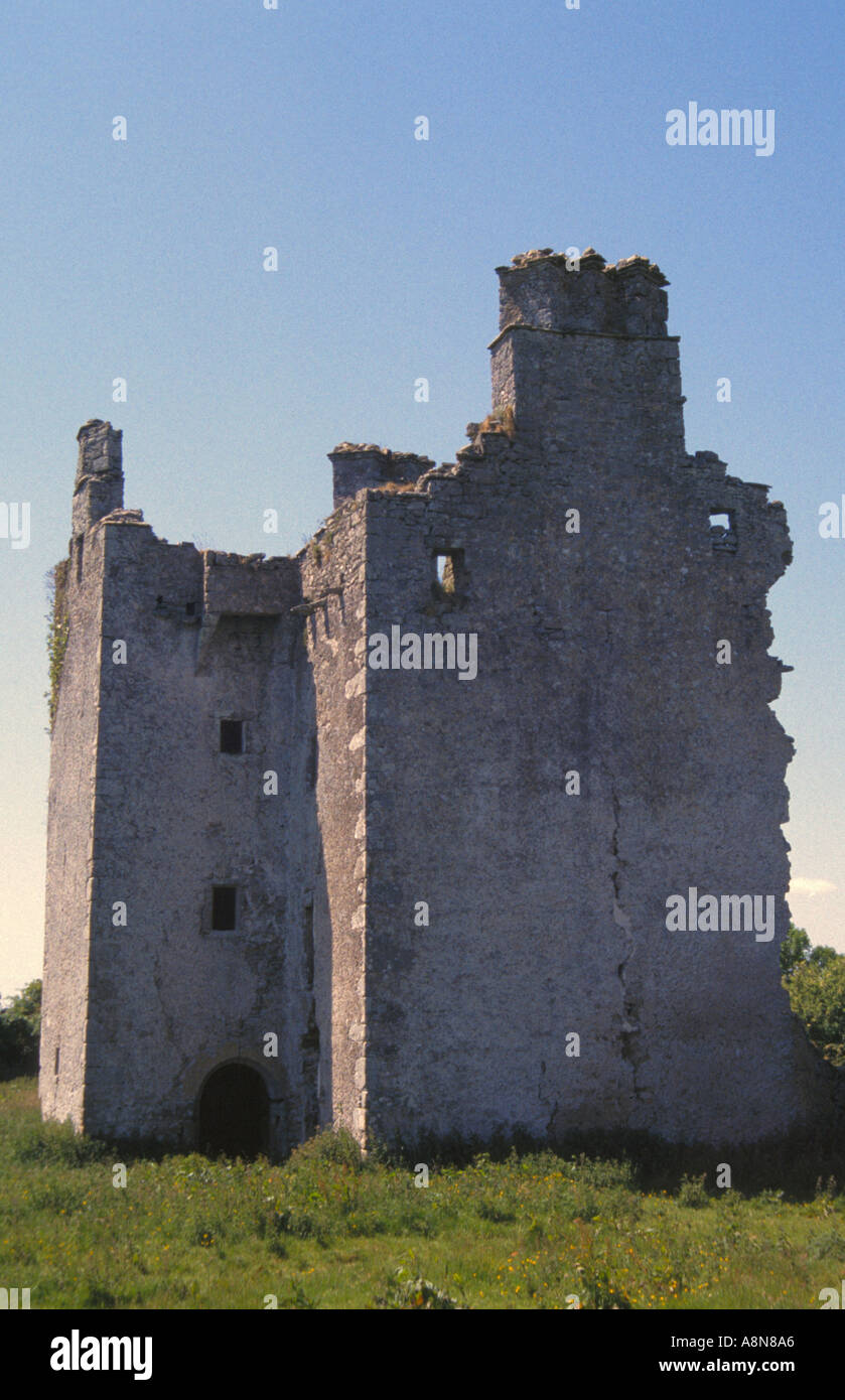 Ruins of Cloncourse Castle in Co Laois Ireland Stock Photo