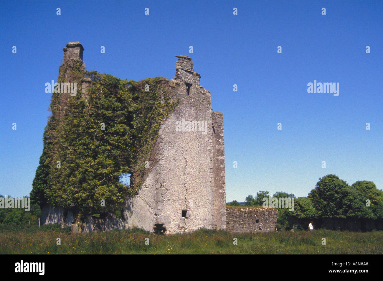 Ruins of Cloncourse Castle in Co Laois Ireland Stock Photo