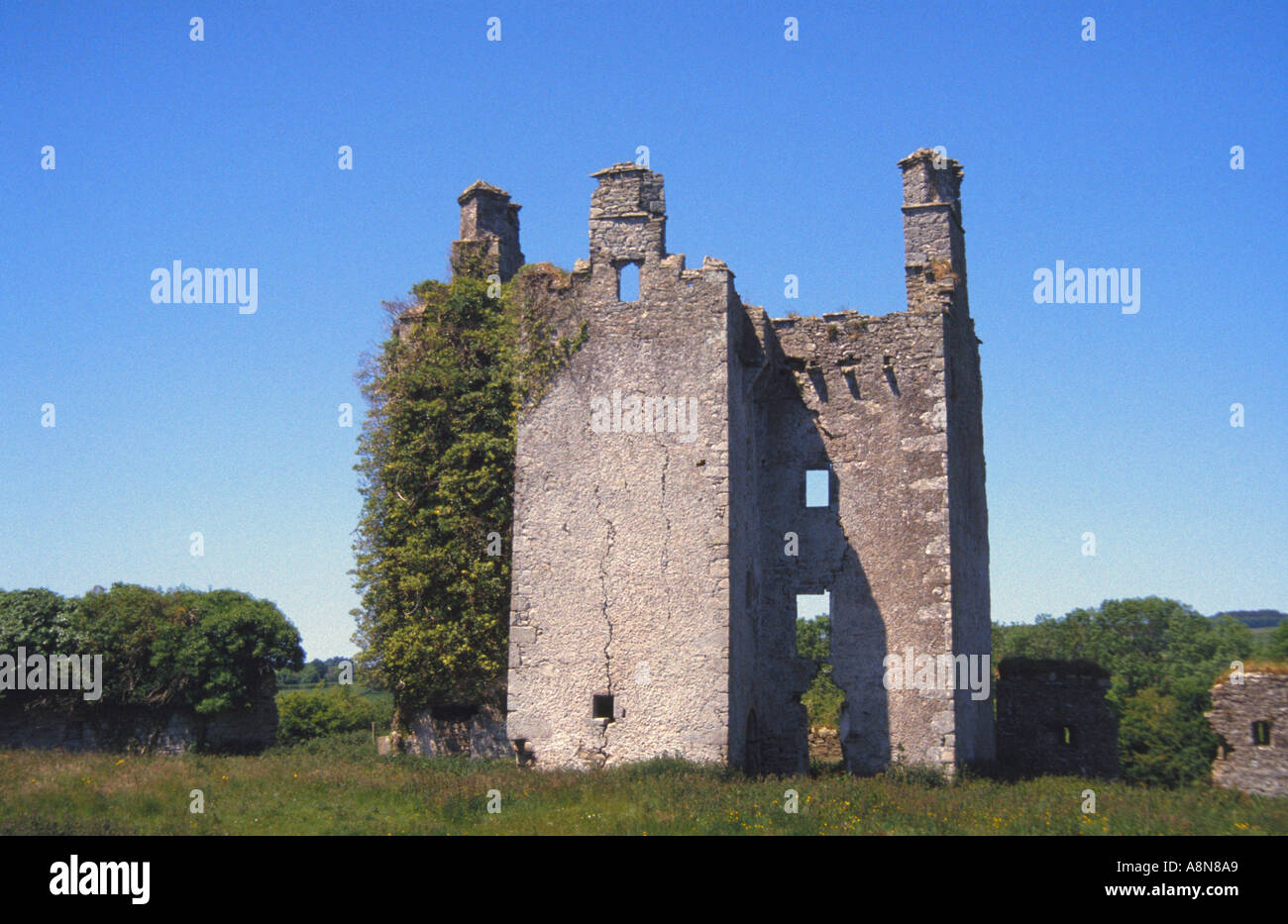 Ruins of Cloncourse Castle in Co Laois Ireland Stock Photo