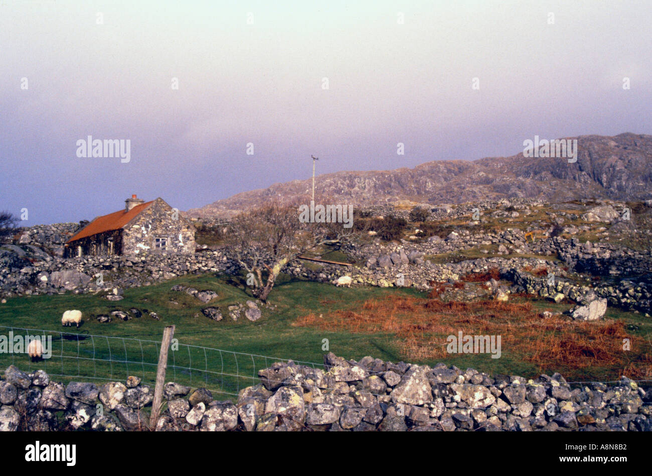 Stone cottage in Connemara Co Galway Ireland Stock Photo