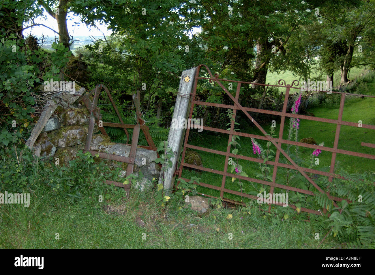 Rusty gate and stile along a wooded path on Anglesey North Wales Stock Photo
