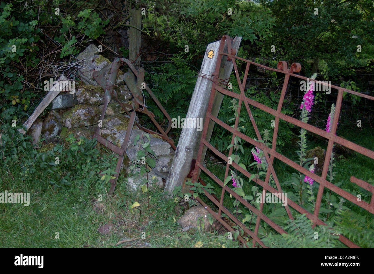Rusty gate and stile along a wooded path on Anglesey North Wales Stock Photo