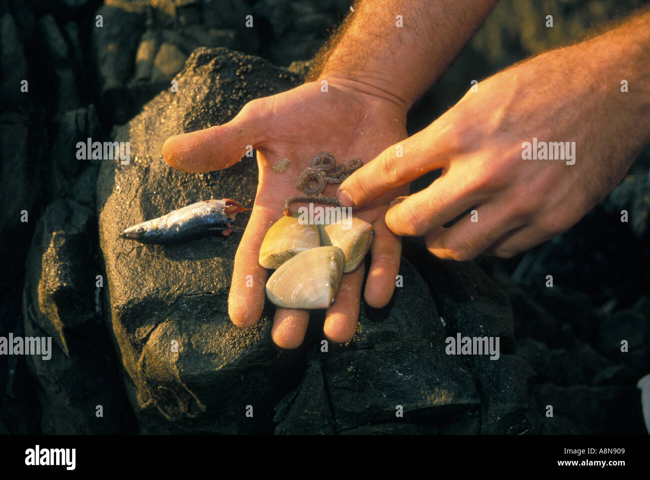 Rock fishing near Noosa Queensland Australia Stock Photo