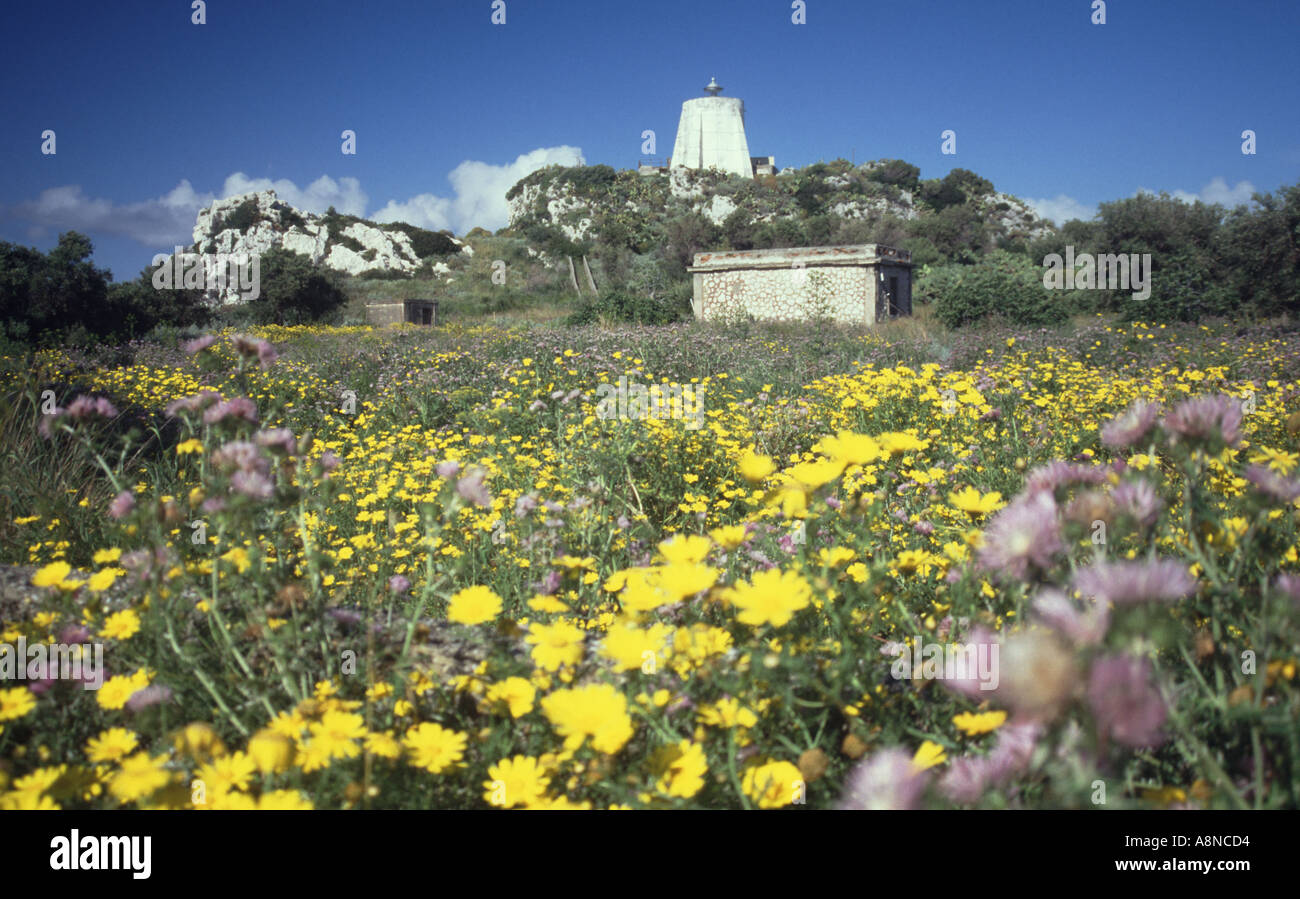 Finding Wild Flowers Stock Photos Finding Wild Flowers - 