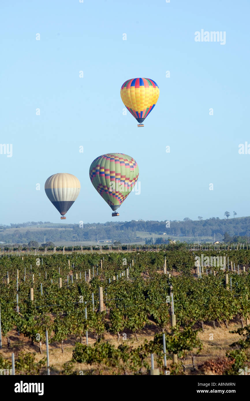 Vineyard ballooning - Hunter Valley, New South Wales, AUSTRALIA Stock Photo