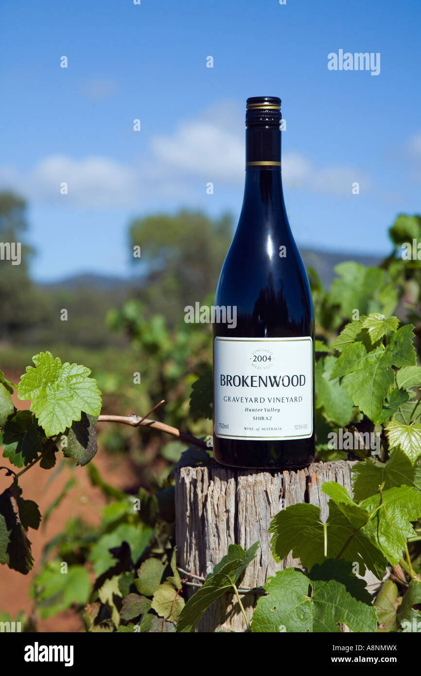 Wine country Hunter Valley, New South Wales, AUSTRALIA Stock Photo