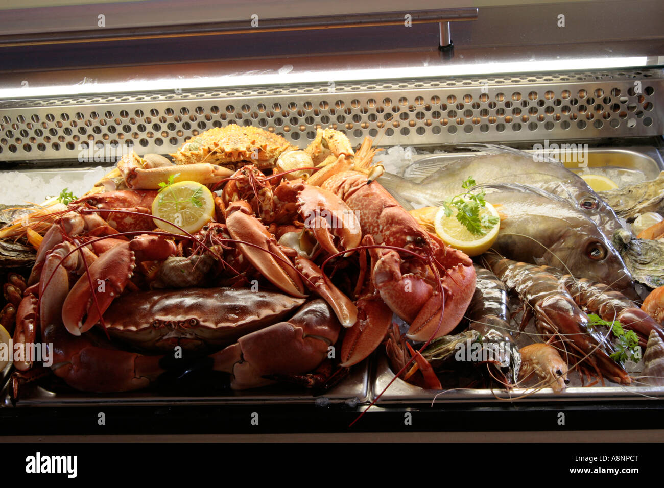 Seafood display Stock Photo