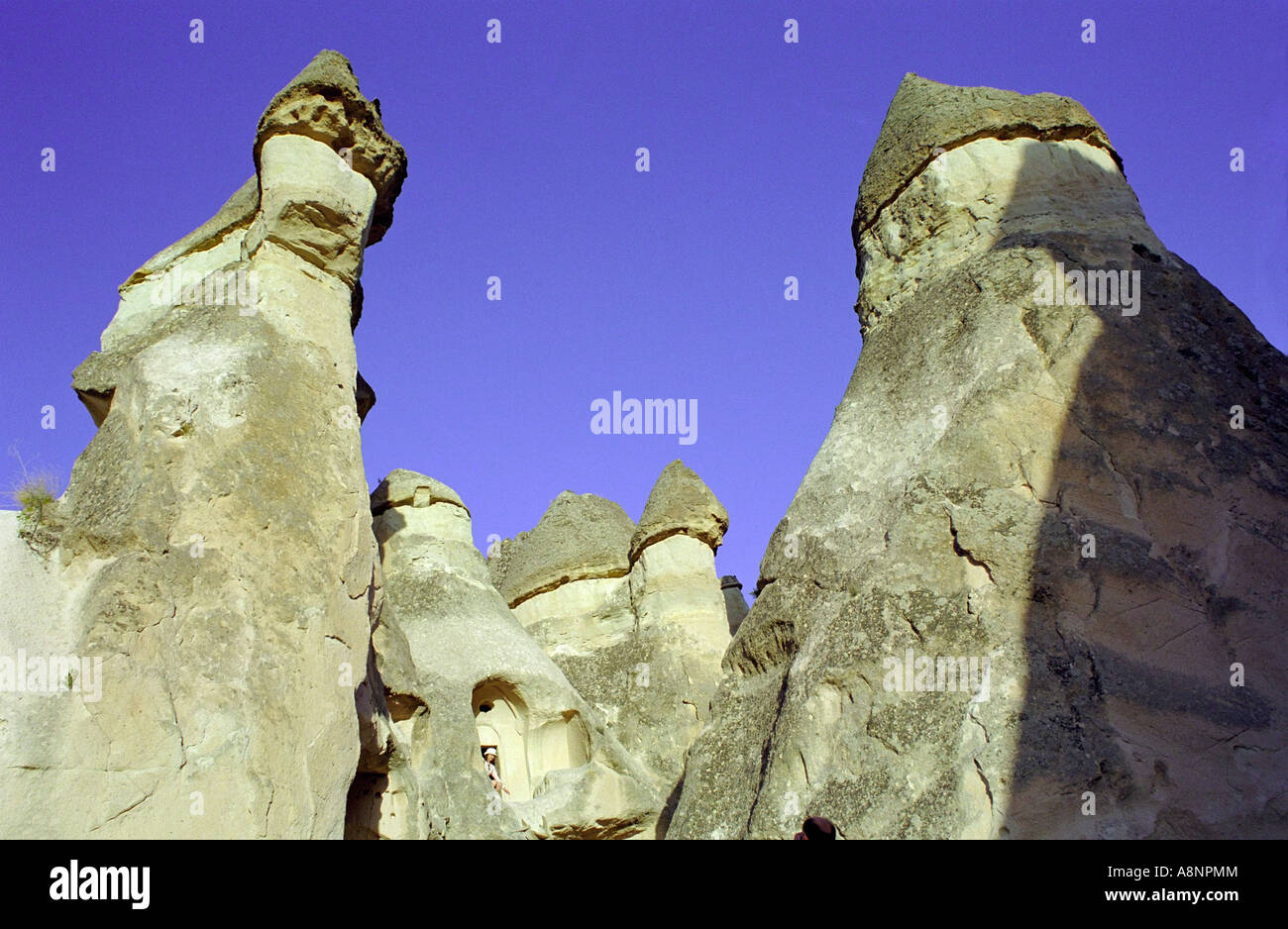 Fairy chimneys in the Zelve Valley - Goreme, Cappadocia, TURKEY Stock Photo