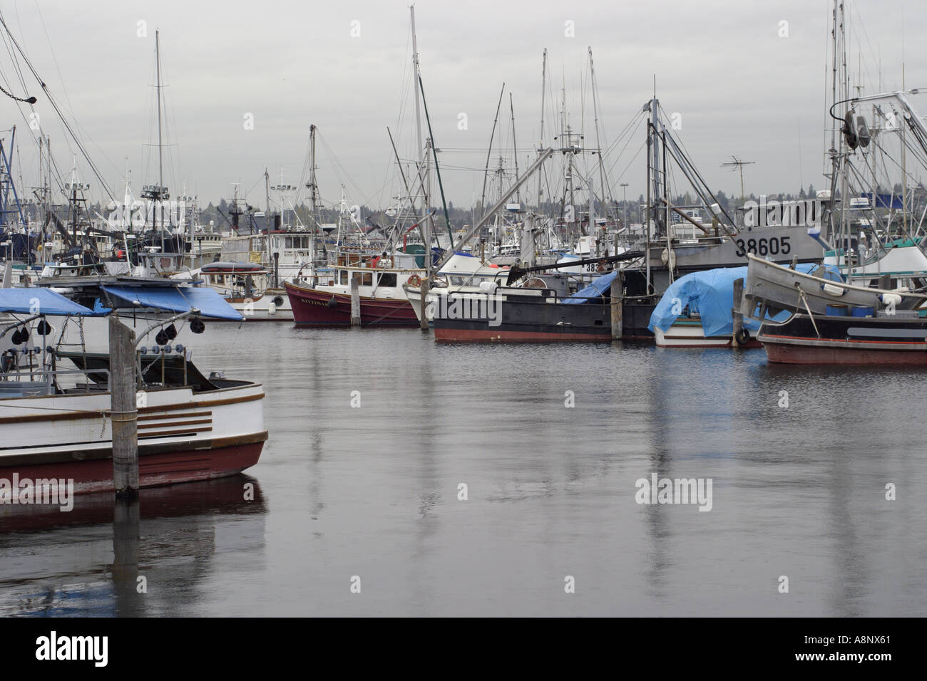 commercial fishing boots moored at Fisherman's Terminal in Seattle on an  overcast day Stock Photo - Alamy