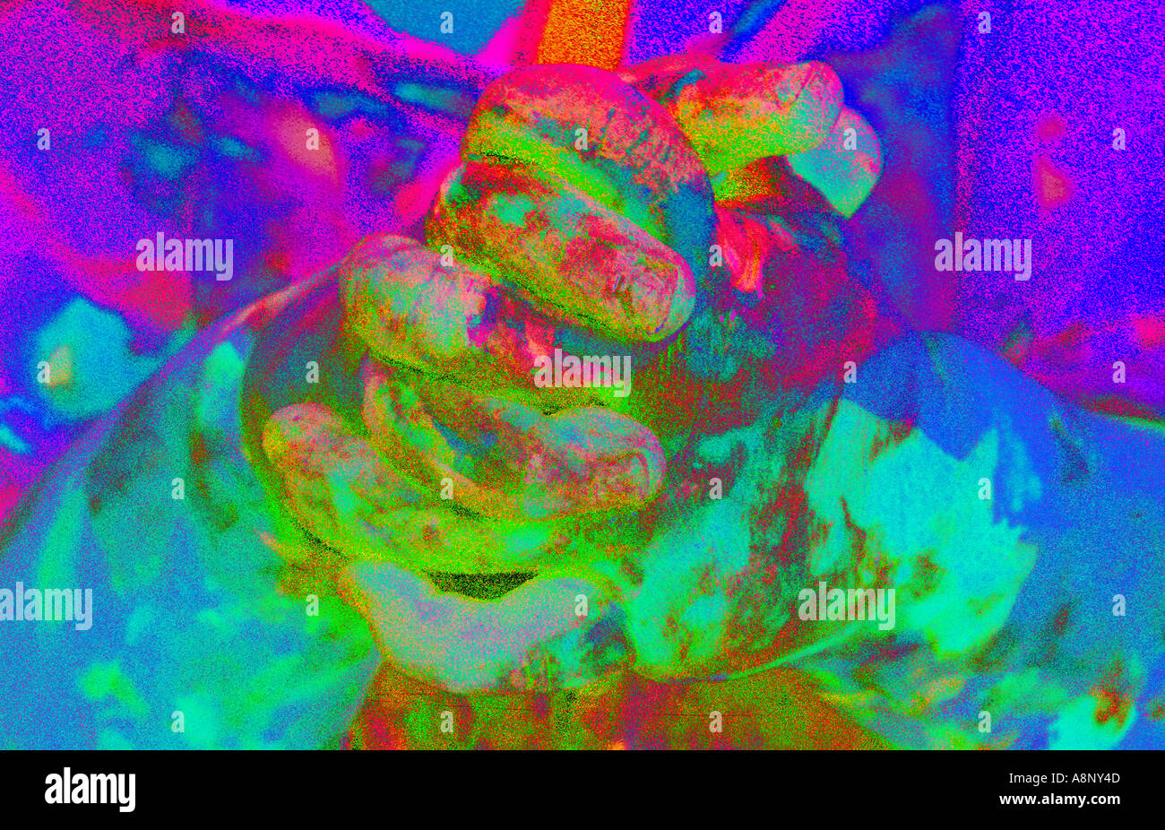 Finger Paint Abstraction Stock Photo Alamy