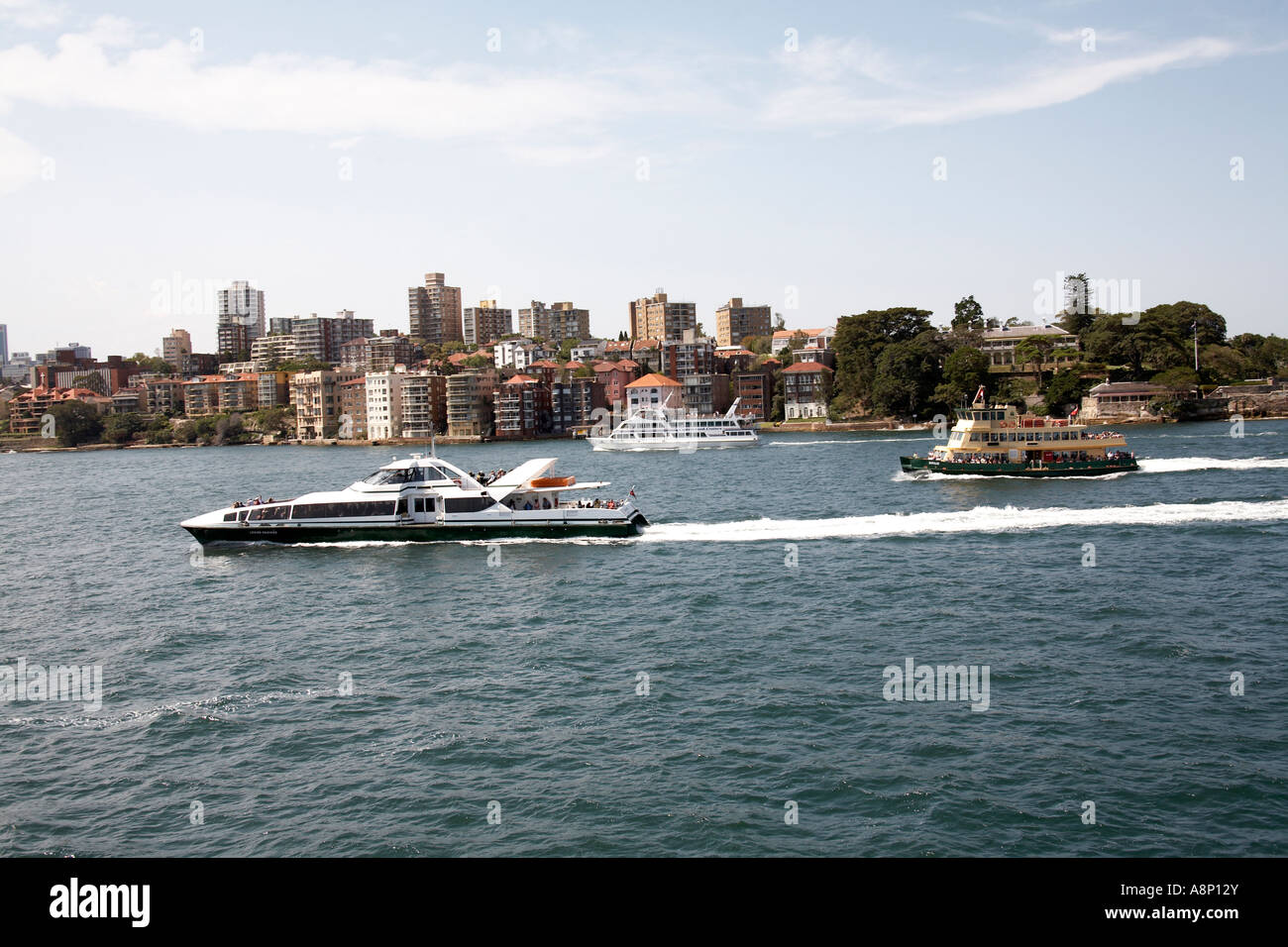 Catamaran ferry and cruiser with Milsons Point suburbs in Sydney New