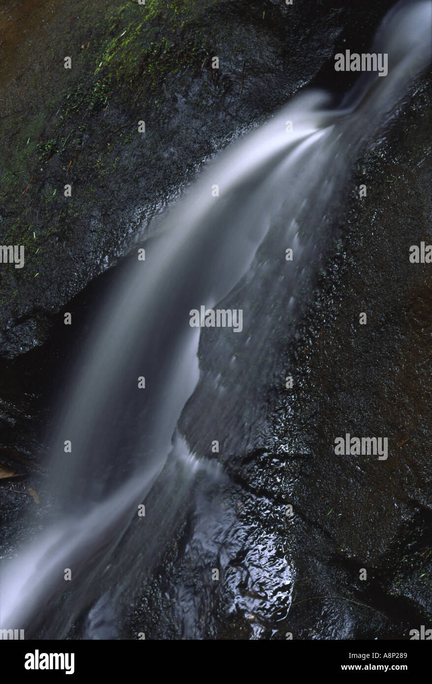 Abstract stream through woodland hi-res stock photography and images ...