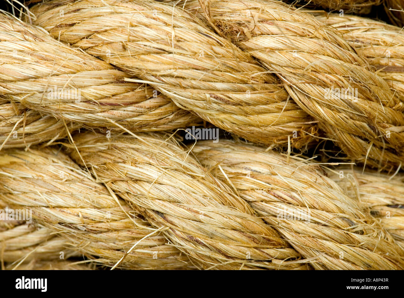 Rope strands hi res stock photography and images Alamy